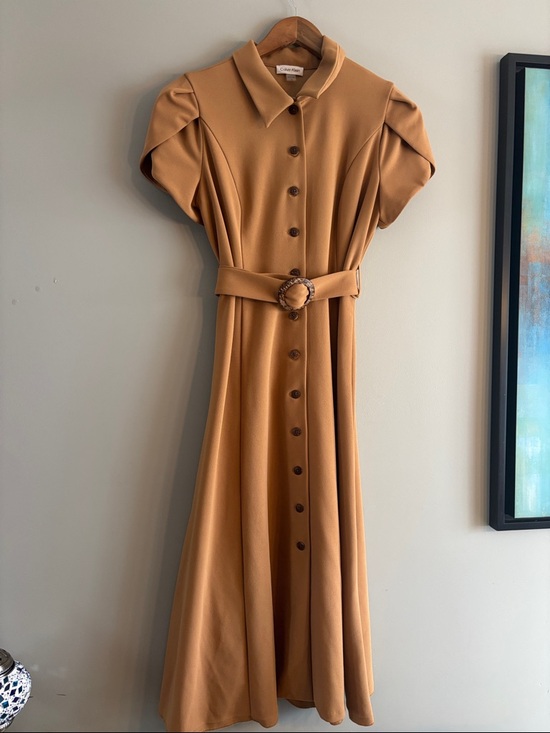 Calvin Klein Dresses & Skirts - Calvin Klein Button-Front Midi Dress in Camel size 12